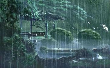 关于雨的作文500字参考8篇