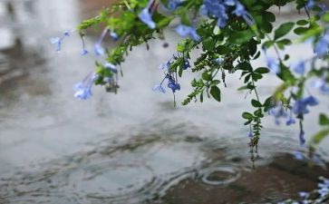 我秋天的雨作文500字精选5篇