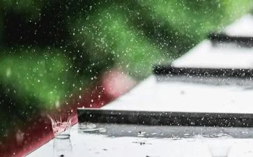 雨后的秋心得体会模板5篇