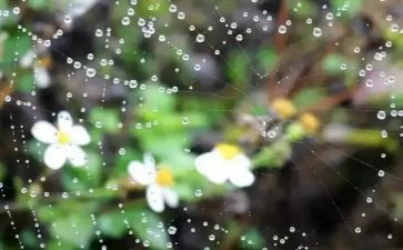 关于雨的作文500字优秀6篇
