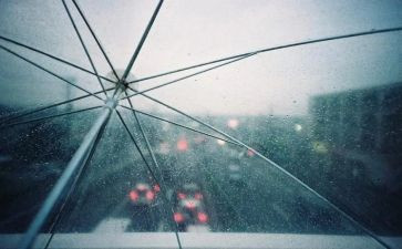 暴雨的演讲稿8篇