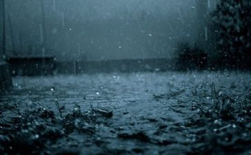 《秋雨》读后感6篇