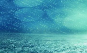 关于雨的作文500字7篇
