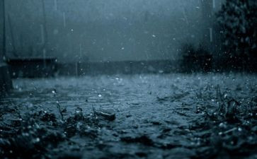 端午的雨作文优秀5篇
