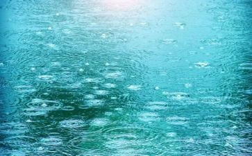 听下雨的作文模板5篇