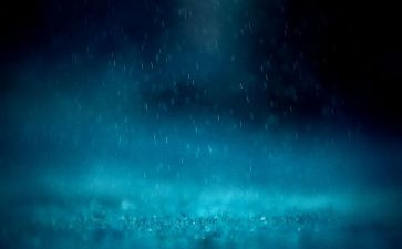 雨后的秋心得体会优质6篇