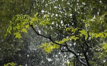 雨后的秋心得体会优秀5篇