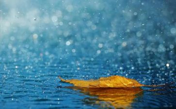 小雨大雨教案5篇