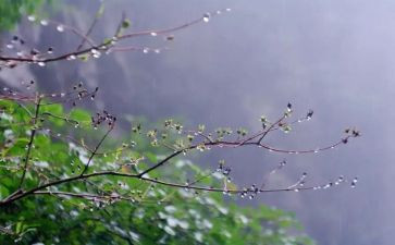 关于雨的作文500字最新7篇