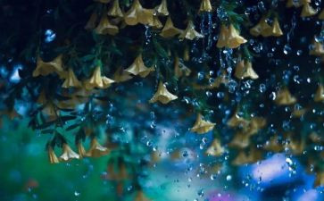 雨来的故事读后感6篇
