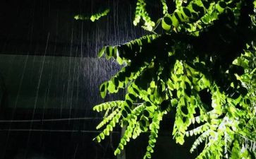 雨后的秋心得体会最新8篇