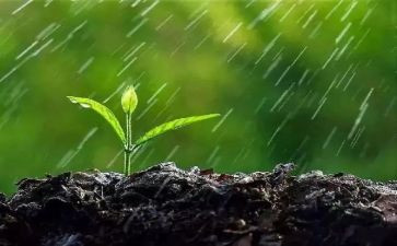 听下雨的作文优秀6篇