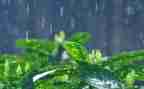 雨的四季读后感6篇