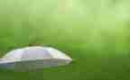 秋天的雨作文400字最新7篇