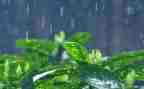 雷雨读后感精选7篇