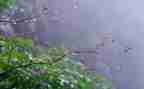 关于雨的作文500字最新7篇