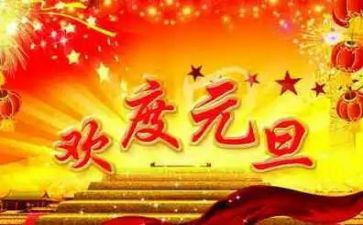 庆元旦活动总结范文8篇