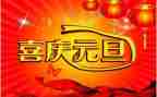 元旦小作文100字8篇