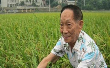 讲袁隆平的演讲稿7篇