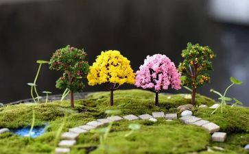 幼儿园艺术月活动总结8篇