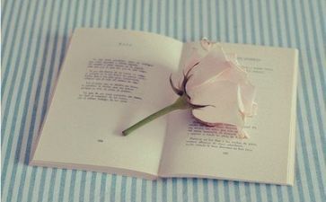 学校阅读工作计划6篇