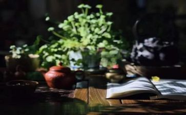 开展阅读的活动方案7篇