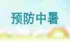 全国残疾预防日活动总结7篇