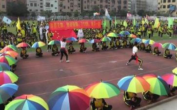 奥运会5大精神心得体会7篇