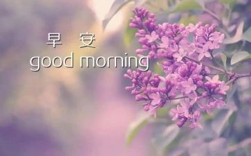 早产儿活动总结8篇