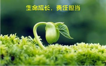也谈责任演讲稿8篇