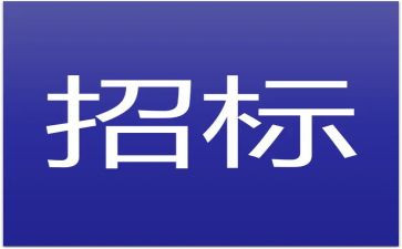 2024年招标办工作总结参考5篇