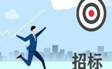 2024年招标代理工作的个人总结7篇