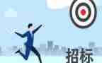 2024年招标代理工作的个人总结7篇
