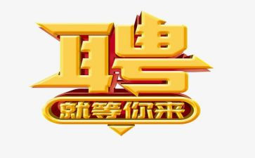 招聘工作总结个人范文8篇