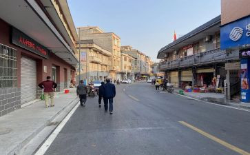 镇2024年人才工作总结5篇