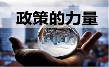 政策调研报告范文6篇