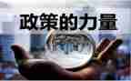 政策调研报告范文6篇