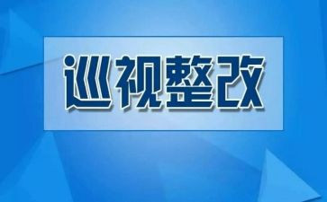 费用整改报告5篇