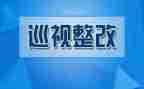 费用整改报告5篇