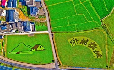 2024年村乡村振兴工作总结模板6篇