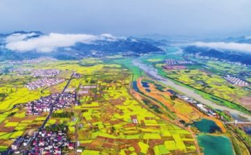 市乡村振兴调研报告6篇