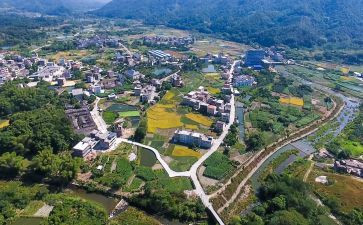 2024乡村振兴年度工作总结报告5篇
