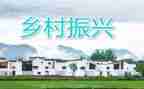 谈乡村振兴心得体会精选6篇