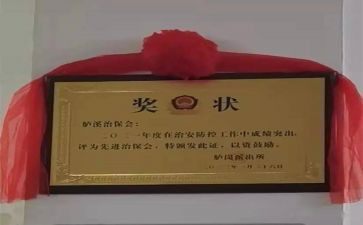 2024年治保主任述职报告6篇