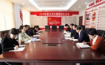 党支部11工作计划7篇