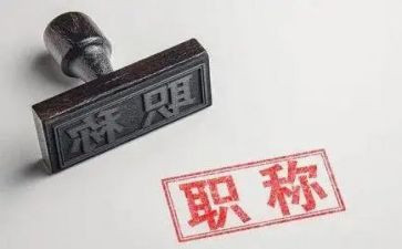 聘职称个人总结模板7篇