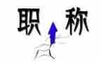 教师评职称个人述职报告8篇