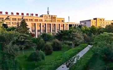 职高学生申请书6篇