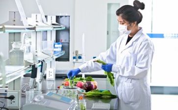 2024年质量员个人总结范文通用5篇