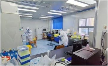 质量角活动总结最新5篇